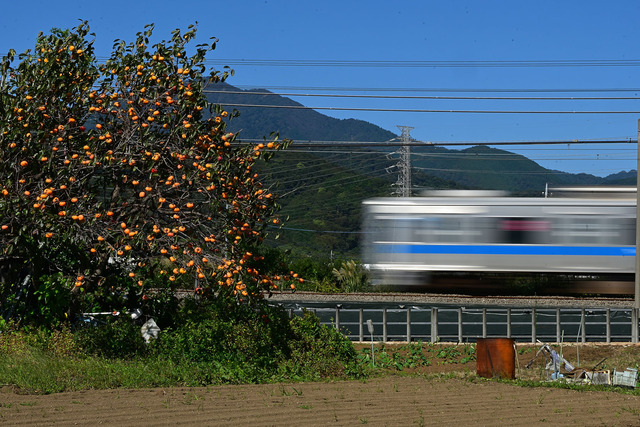 DSC_0727_20251017_105701_NX017
