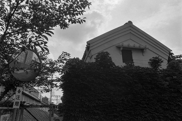 1983-2_20210909_6127