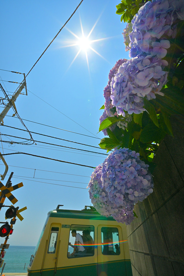 DSC_0154_20240614_112844NX