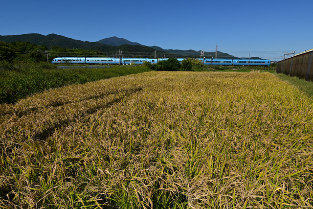 DSC_0916_20251017_113101_NX023