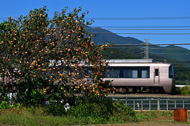 DSC_0631_20251017_105216_NX012