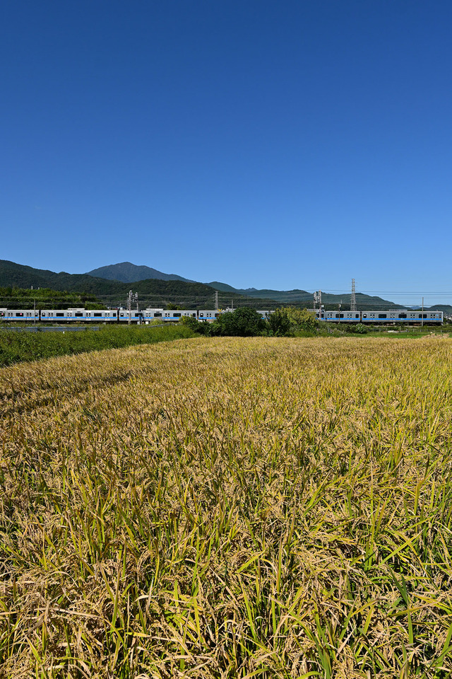 DSC_0930_20251017_113234_NX024