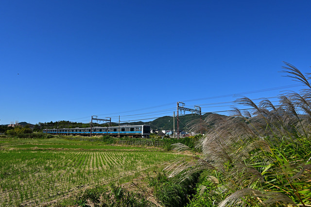 DSC_0449_20251017_101119_NX006