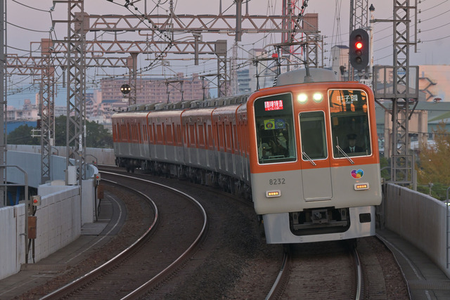 DSC_4734_20231101_165631NX