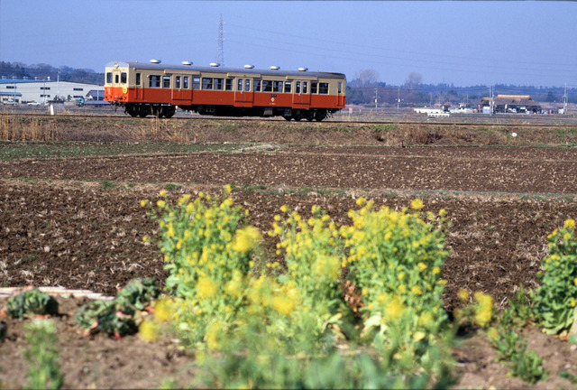 198703_0021