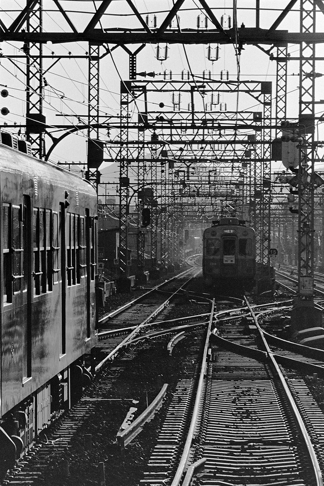 1981-1_20210901_2480