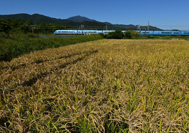 DSC_0909_20251017_113058_NX022