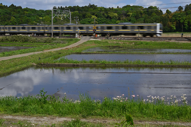 DSC_3654_20260426_135816_NX006