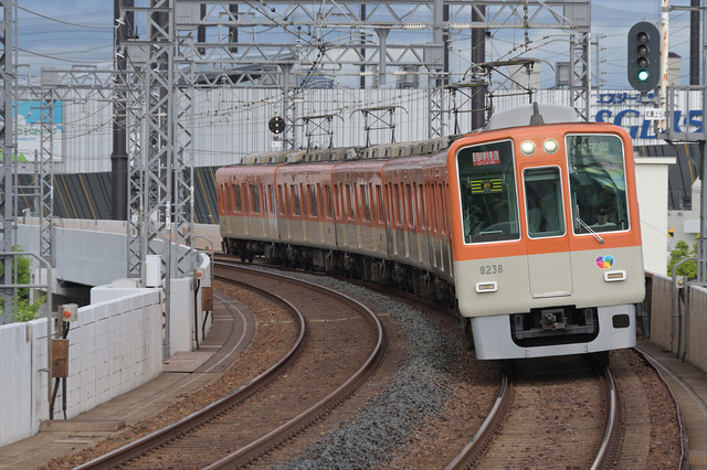 DSC_5851_20260603_171636_NX013d