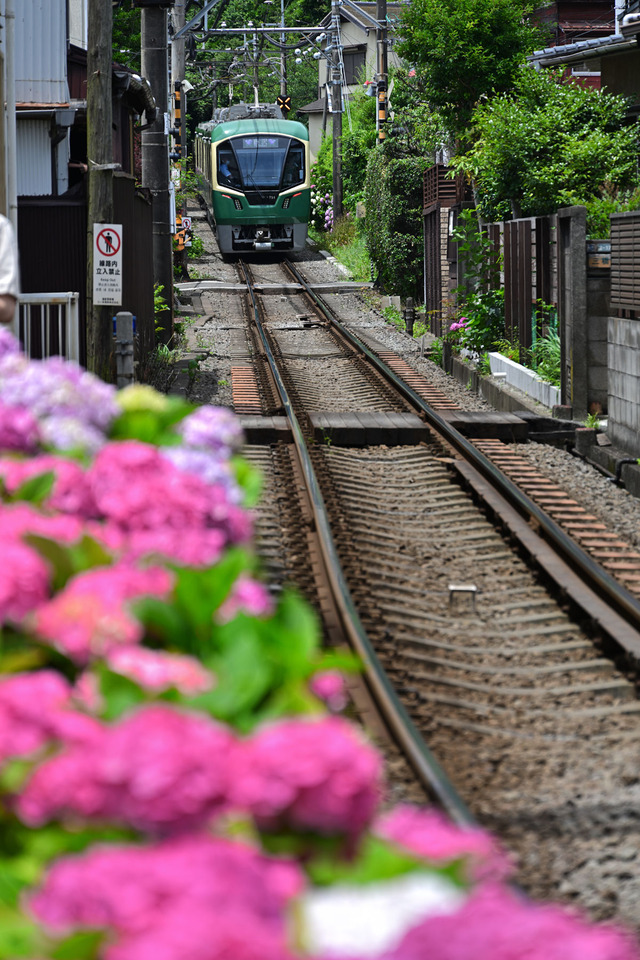DSC_7111_20260616_110425_NX012