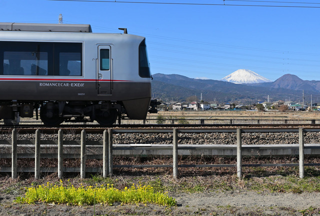 DSC_0586_20260203_105859_NX002