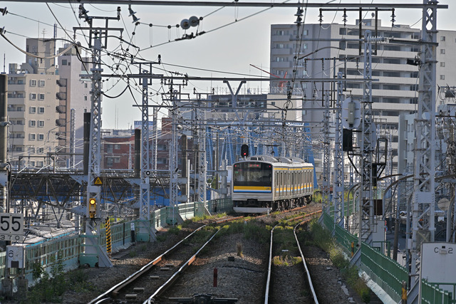 DSC_4245_20231013_151109NX