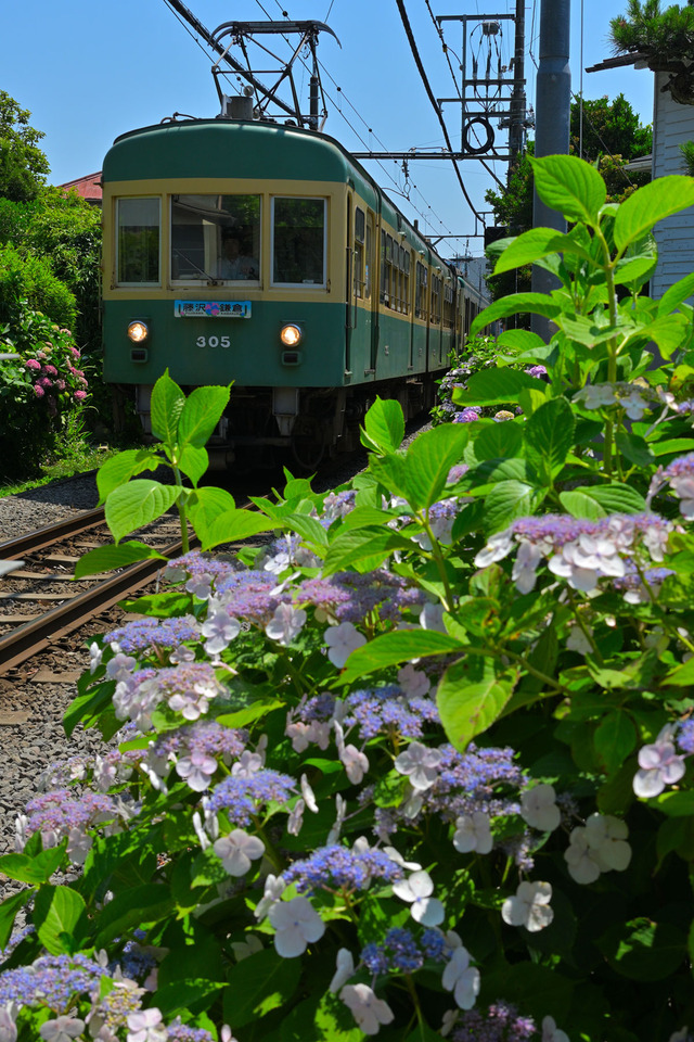DSC_0088_20240614_102253NX