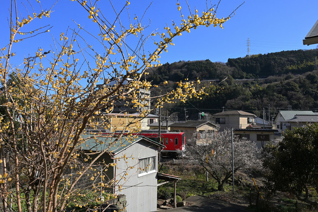 DSC_0687_20260203_131308_NX028
