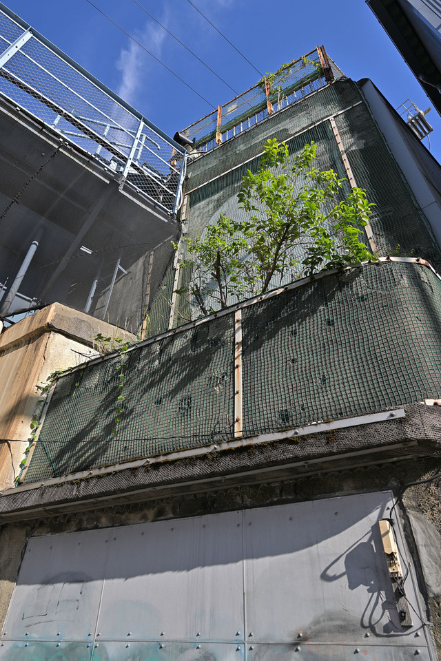 DSC_4167_20231013_143102NX