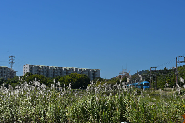 DSC_0815_20251017_111746_NX019