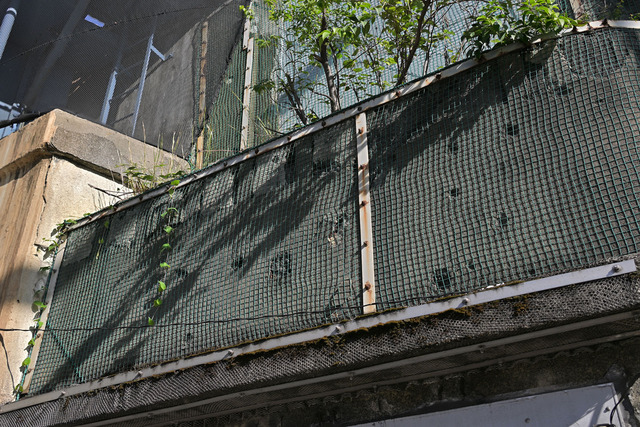 DSC_4163_20231013_142945NX