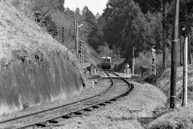 1986_87_20210917_7747NX