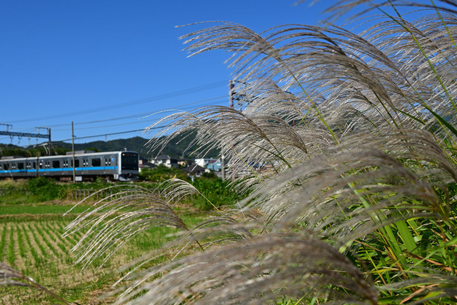 DSC_0430_20251017_100513_NX004