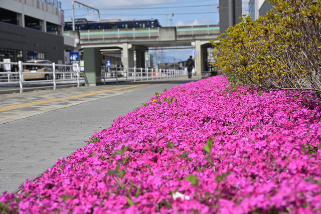 DSC_0570_20260327_182842_NX001