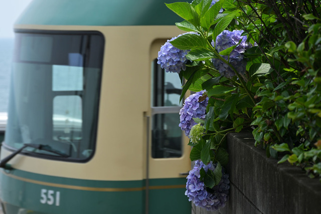 DSC_3386_20250612_123912_NX