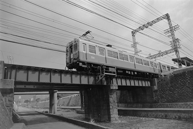 1981-1_20210901_2553