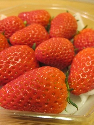 �����縶�֤����Ҥ��