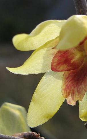 �����Х��β֤Ӥ�