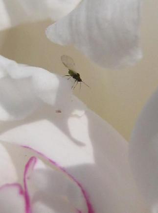 ��󡦡���