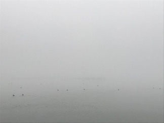 ̸����ޤ줿���ʸ�