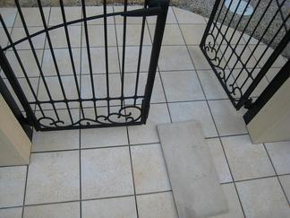 �����ꥢ��͢��������