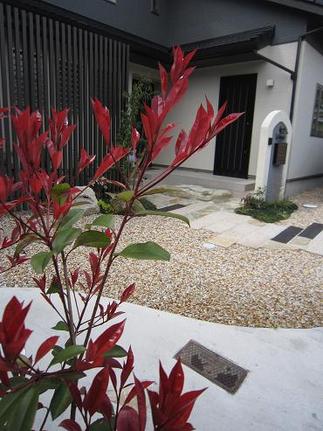 ��åɥ��ӥ�