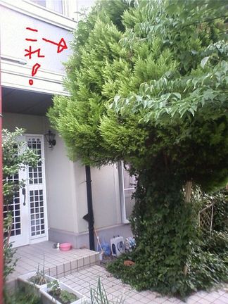 ������ɥ��쥹�ȡ������������κ���