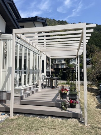 �ѡ�����