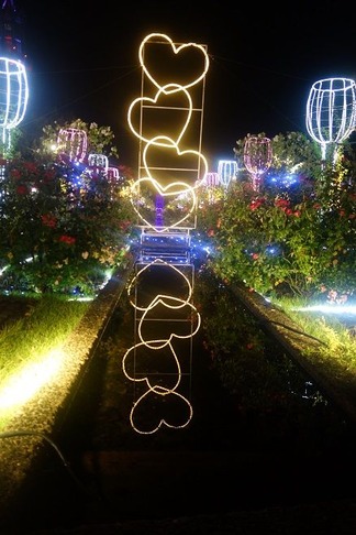 �����ȥ����ǥ�