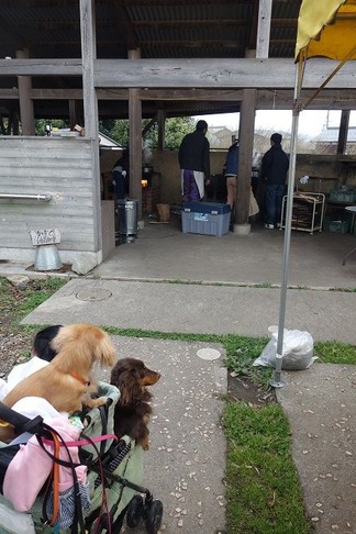 ���ޤ��θ�