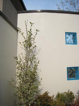 ����С��ץ�ڥå�