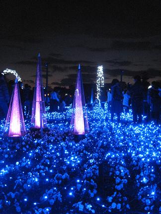 ����α���