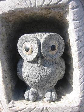 �դ���������