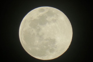 ���Ρ��ࡼ��