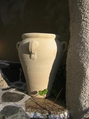 ����˥�����