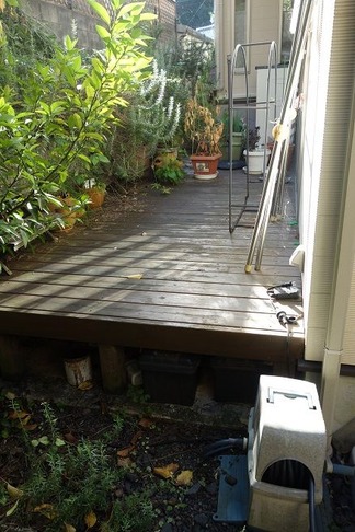 �ӥե����ֻܹ�����