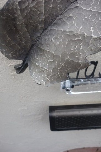 �ǥ����������ǥ�