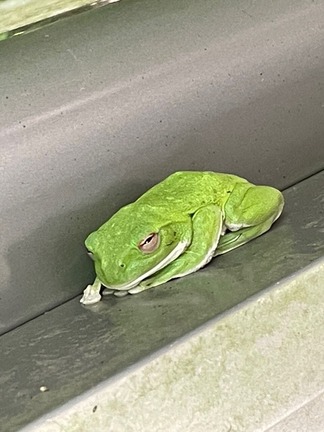 ���ޥ�����