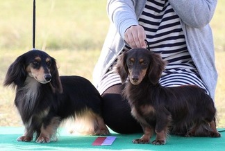 ��Ω����