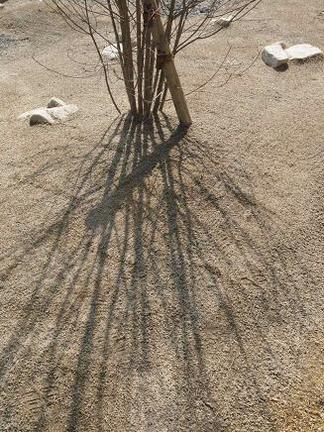 ��ޥܥ����α�