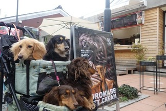 ���ɥ�������