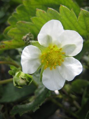 �������β�