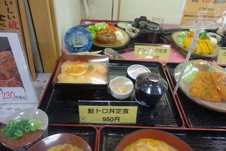 ���ʸ��綶ƻ�αإ쥹�ȥ��