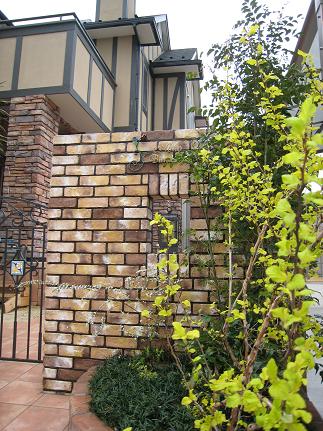 �ФǤ�����